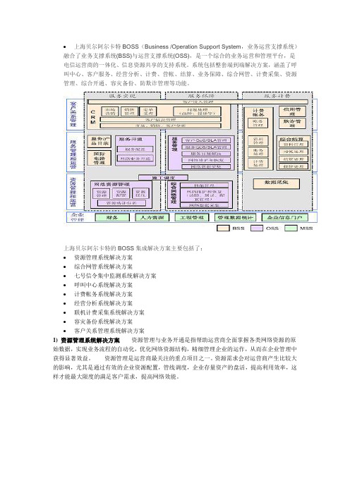 阿郎BOSS解决方案PPT