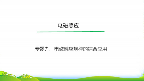 高考物理一轮总复习教学课件(人教版)：专题9 电磁感应规律的综合应用 (共37张PPT)