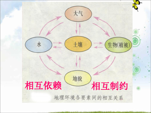 湘教版高中地理必修一：3.2自然地理环境的整体性 课件(共21张PPT)