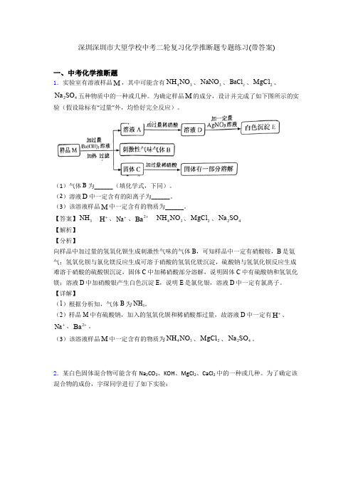 深圳深圳市大望学校中考二轮复习化学推断题专题练习(带答案)