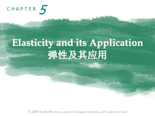 Chapter 5 - Elasticity and its application(1)