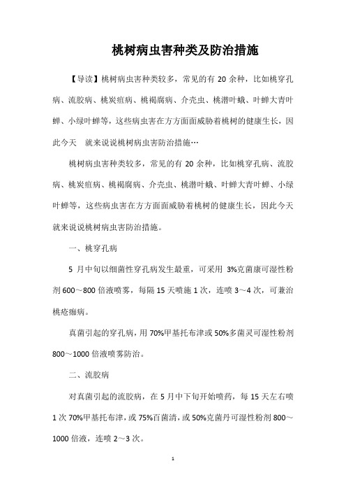 桃树病虫害种类及防治措施