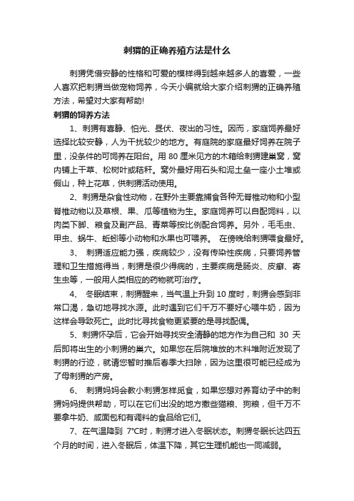 刺猬的正确养殖方法是什么