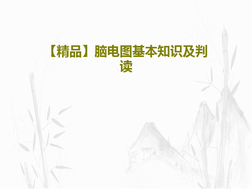 【精品】脑电图基本知识及判读共79页