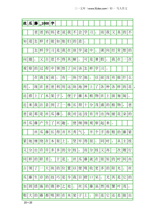 初一写人作文：丝瓜藤_1000字