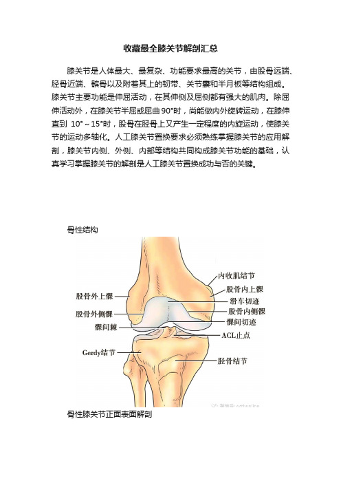 收藏最全膝关节解剖汇总