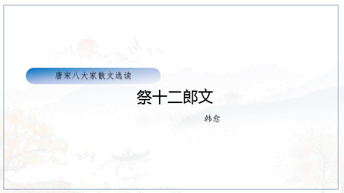 《祭十二郎文》—苏教版语文选修唐宋八大家散文精选课件 共43张PPT