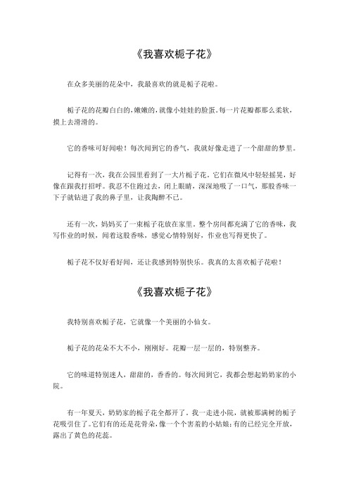 我喜欢栀子花作文300字