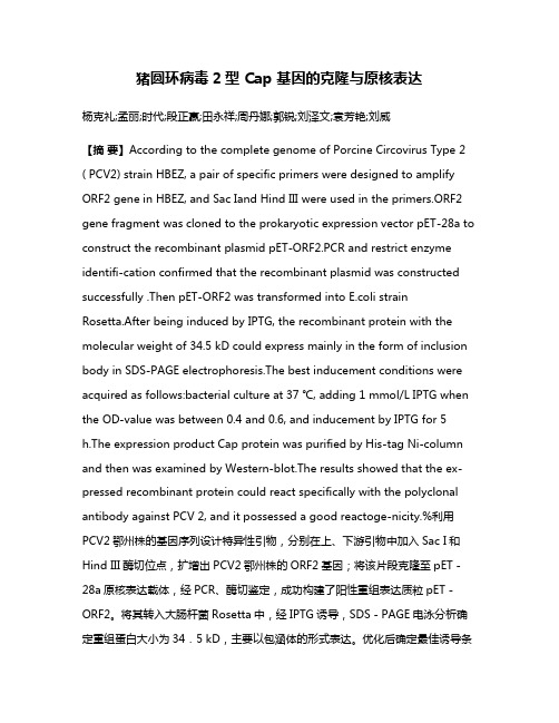 猪圆环病毒2型 Cap 基因的克隆与原核表达