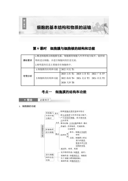 第二单元 第6课时 细胞膜与细胞核的结构和功能(1)