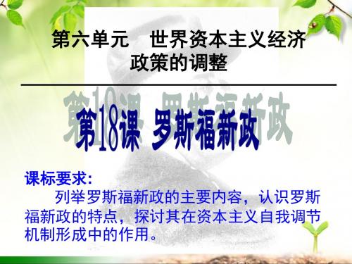 PPT课件罗斯福新政(新)