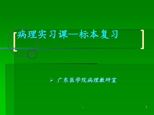 病理实习课-大体标本复习ppt课件