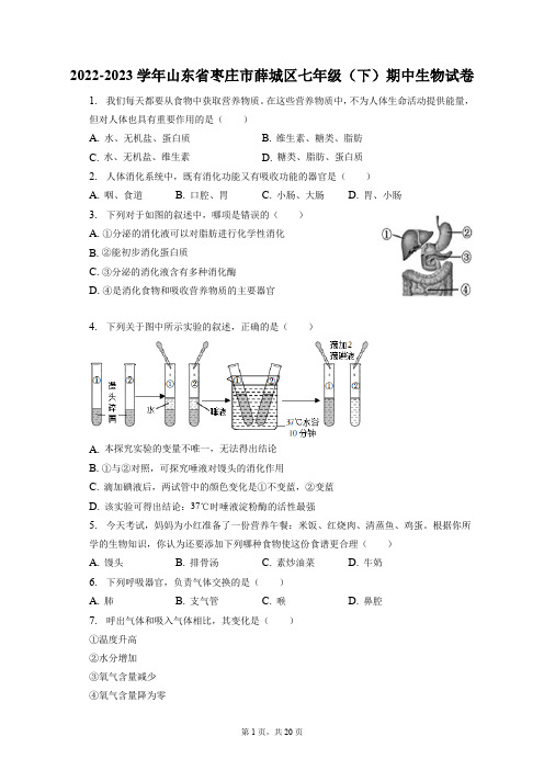 2022-2023学年山东省枣庄市薛城区七年级(下)期中生物试卷(附答案详解)