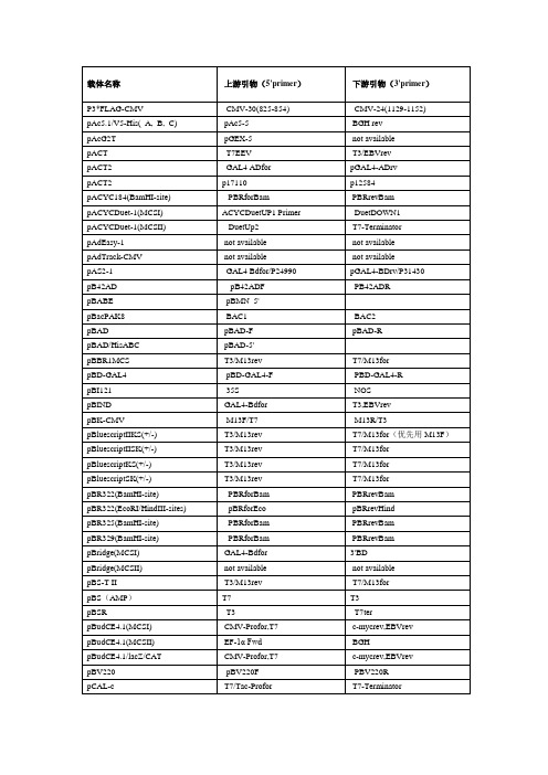 载体及其上下游引物