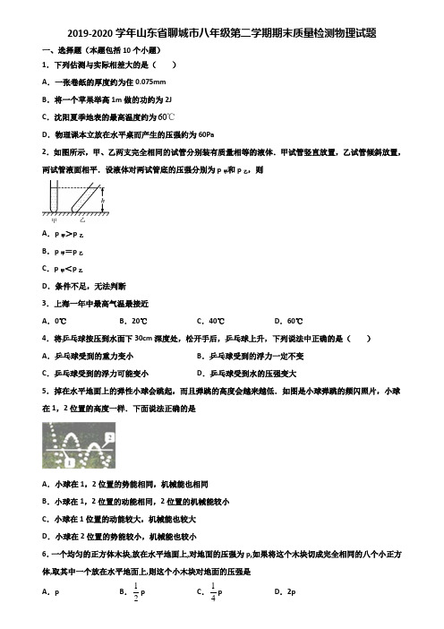 2019-2020学年山东省聊城市八年级第二学期期末质量检测物理试题含解析