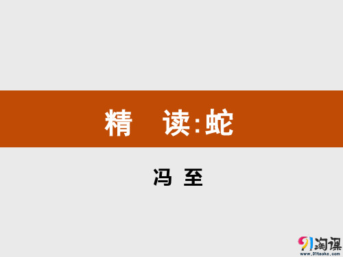 课件3：蛇