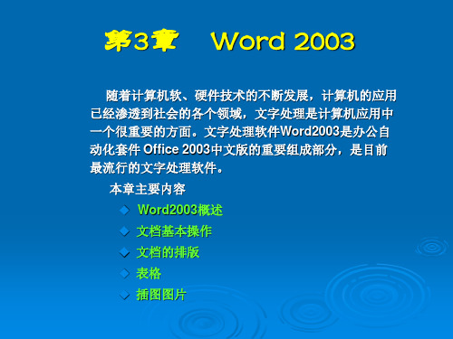 第3章 Word 2003