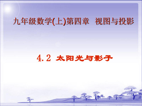 北师大数学初三上册课件《太阳光与影子》