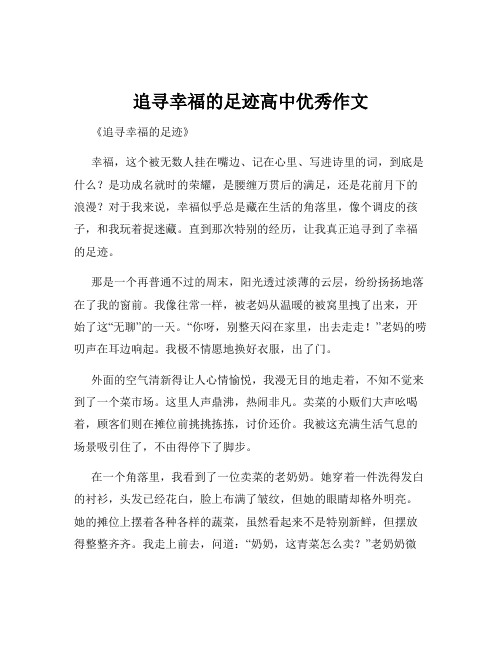 追寻幸福的足迹高中优秀作文