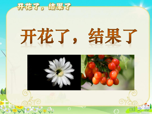 《开花了,结果了》植物的生长变化PPT课件 (共13张PPT)