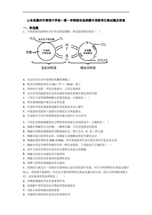 山东省滕州市善国中学高一第一学期期末选择题专项联考生物试题及答案