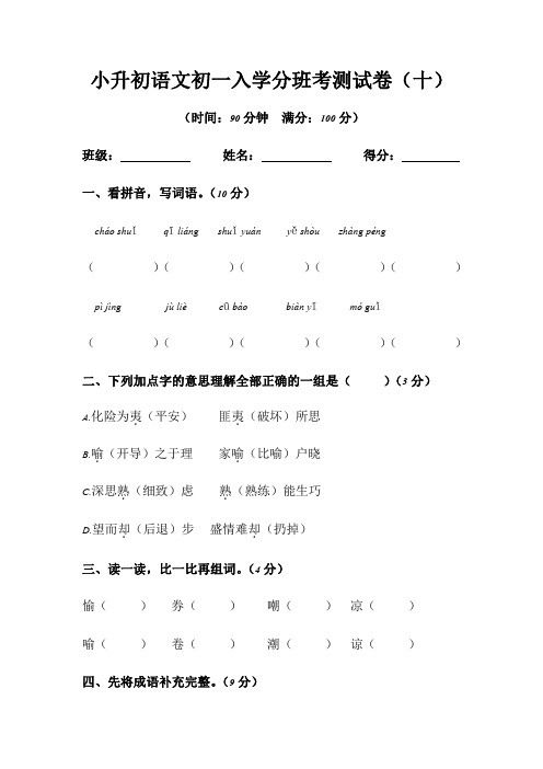 小升初语文初一入学分班考测试卷(十)【含答案】