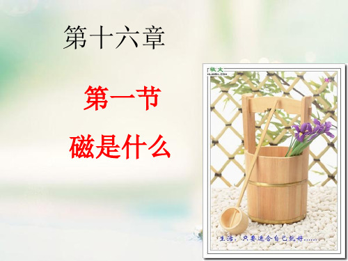 磁是什么中小学PPT教学课件