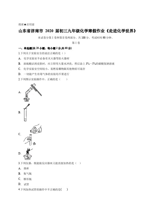 山东省济南市2020届初三九年级化学寒假作业《走进化学世界》含答案