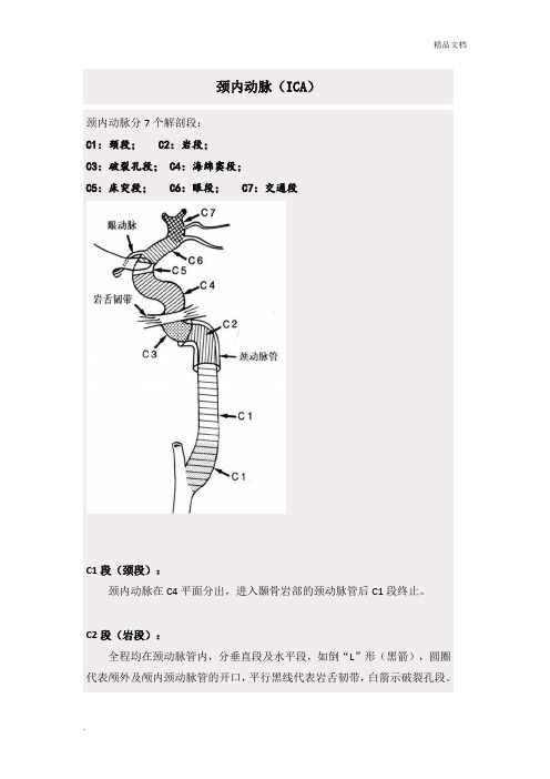 颈内动脉分段