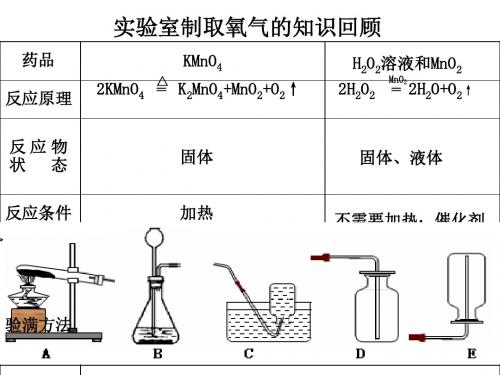 6.2二氧化碳制取的研究