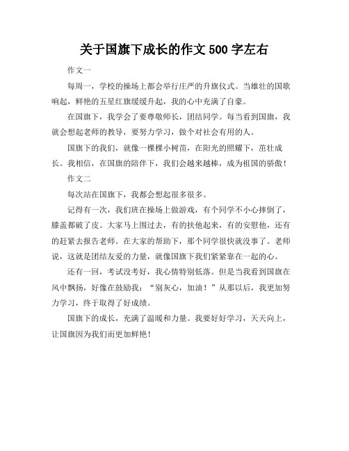 关于国旗下成长的作文500字左右