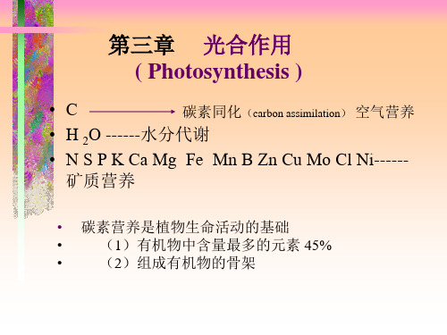 植物生理学 光合作用