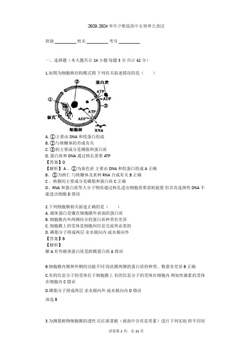 2023-2024学年高中生物沪教版高中第一册第3章 生命的结构基础单元测试(含答案解析)