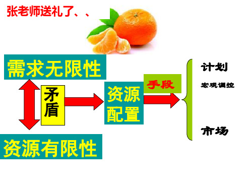 人教版高中政治必修一9.1市场配置资源1