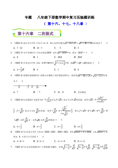 专题 期中复习压轴题训练(第十六、十七、十八章)(原卷版) 