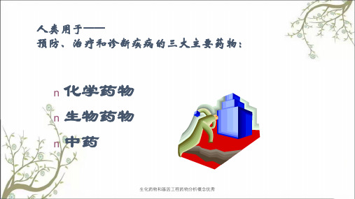 生化药物和基因工程药物分析概念优秀