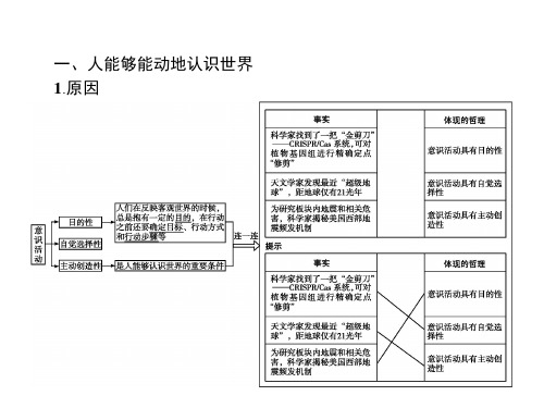 2018年秋人教版高中政治必修4课件：5.2意识的作用