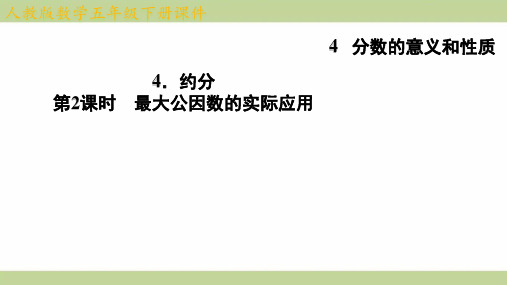 (新插图)人教版五年级下册数学 4-4-2 最大公因数的实际应用 知识点梳理课件