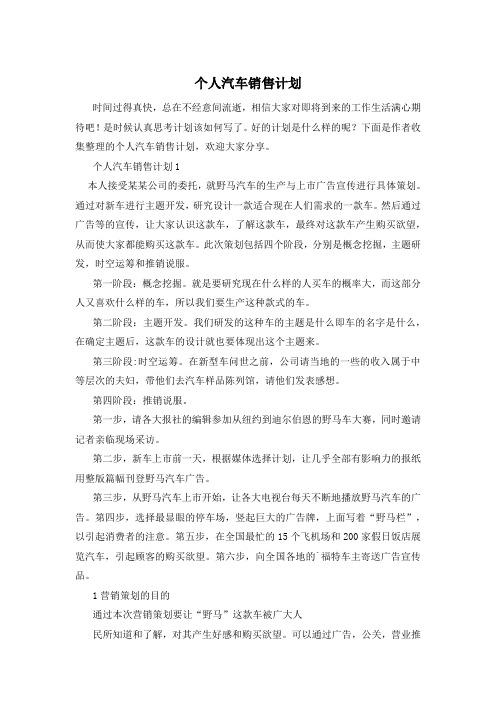 个人汽车销售计划