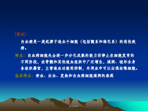 白血病ppt课件