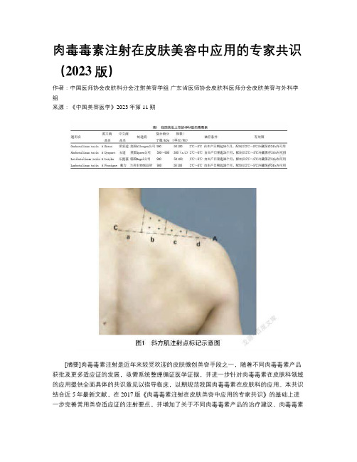 肉毒毒素注射在皮肤美容中应用的专家共识（2023版）