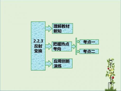 2019-2020学年高中数学2.2几种常见的平面变换2.2.3变换的复合与矩阵的乘法反射变换课件苏教版选修4_