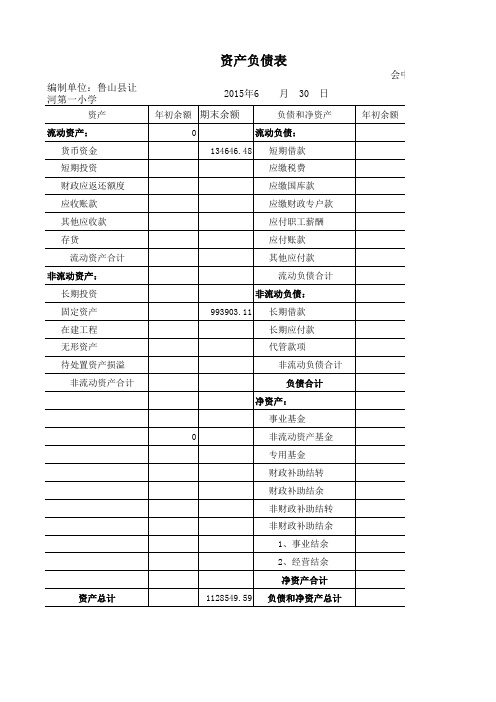 资产负债表(新中小学会计报表)