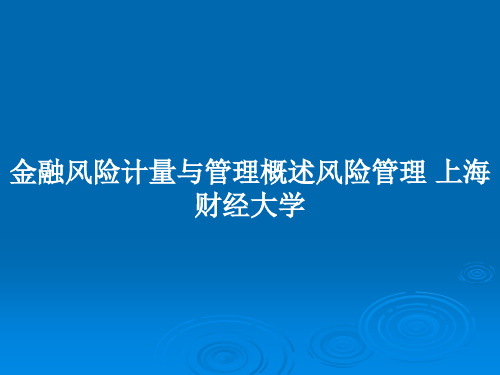 金融风险计量与管理概述风险管理 上海财经大学PPT教案