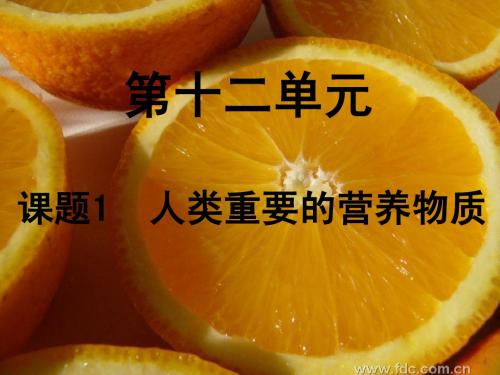 九年级化学《人类重要的营养物质》说课稿课件