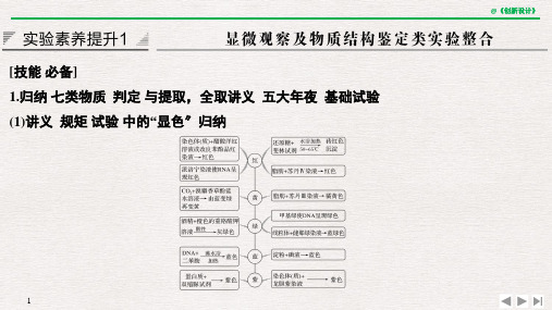 实验素养提升1ppt