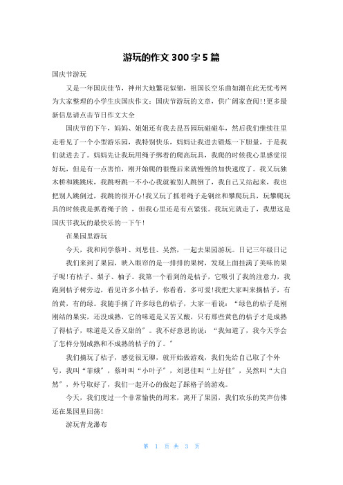 游玩的作文300字5篇