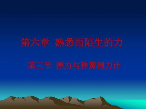 初中物理《弹力与弹簧测力计》(共11张)ppt6