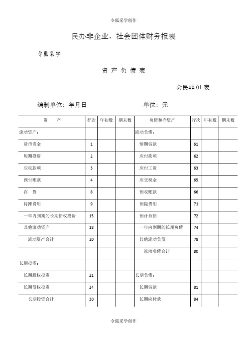 社会团体财务报表