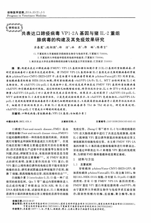 共表达口蹄疫病毒VP1-2A基因与猪IL-2重组腺病毒的构建及其免疫效果研究